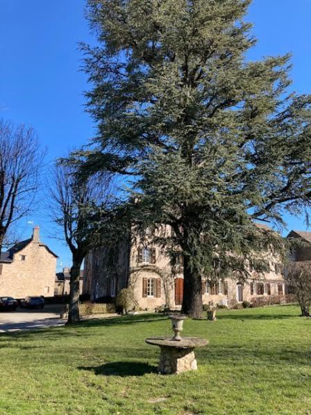 Le Clos d'Albray - Chambres d'hôtes Comps-la-Grand-Ville Exterior foto