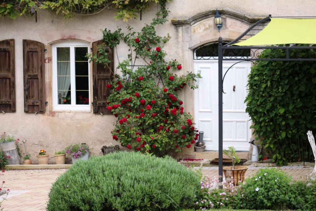 Le Clos d'Albray - Chambres d'hôtes Comps-la-Grand-Ville Exterior foto